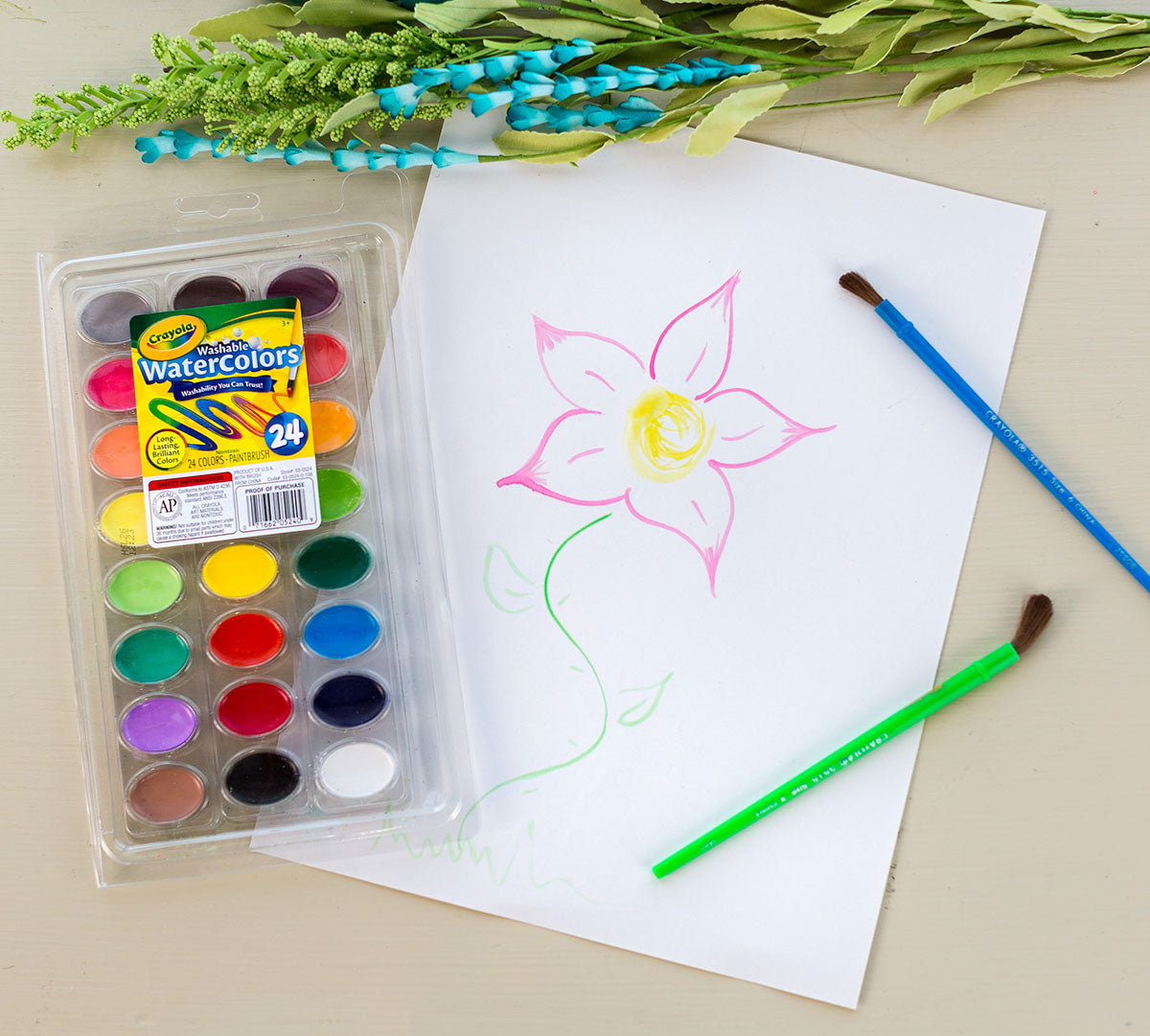 Crayola Washable Watercolors 24 Watercolor Pack