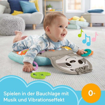 Fisher-Price Music & Vibe Sloth Tummy Wedge
